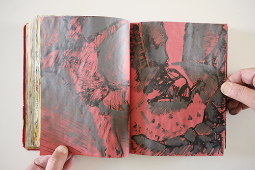 carnets | carnet-2010 | &copy; patrice de Santa Coloma