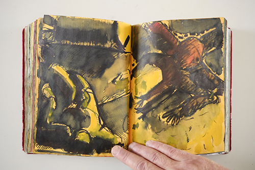 carnets | carnet-2010 | &copy; patrice de Santa Coloma