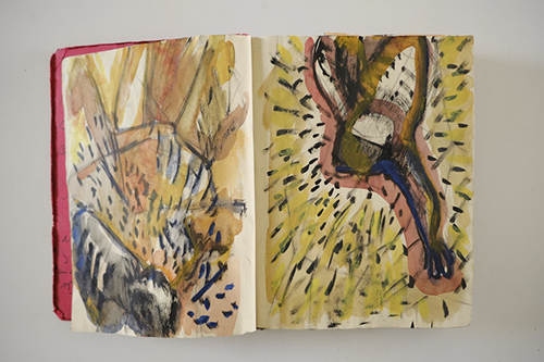 carnets | carnet-2010 | &copy; patrice de Santa Coloma