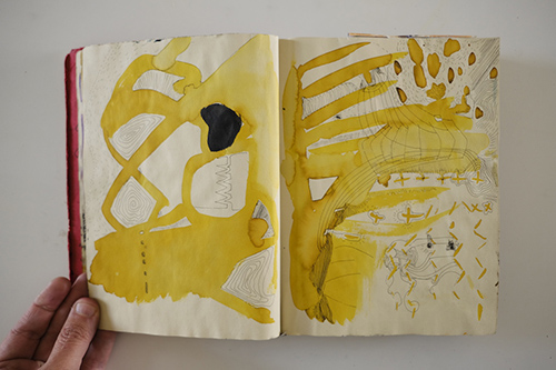 carnets | carnet-2010 | &copy; patrice de Santa Coloma