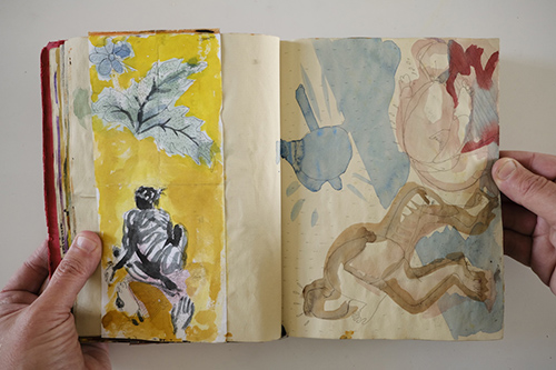 carnets | carnet-2010 | &copy; patrice de Santa Coloma