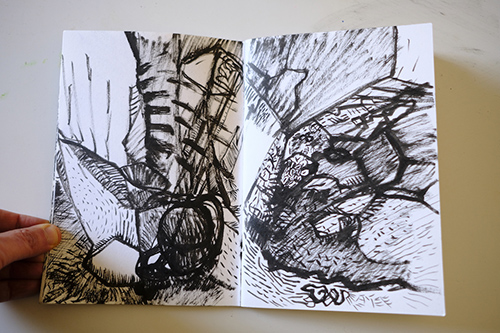 carnets | carnet-2011 | &copy; patrice de Santa Coloma
