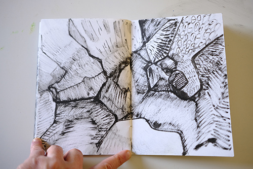 carnets | carnet-2011 | &copy; patrice de Santa Coloma