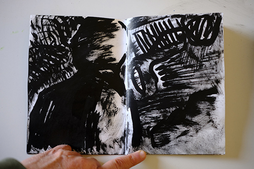 carnets | carnet-2011 | &copy; patrice de Santa Coloma