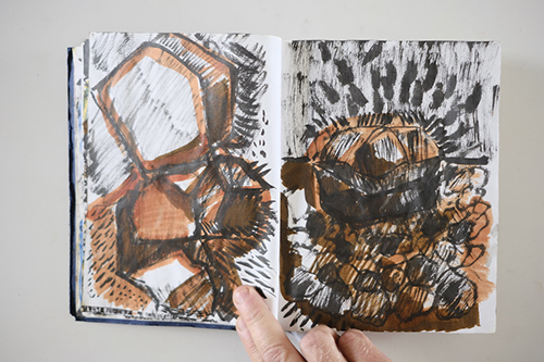carnets | carnet-2011 | &copy; patrice de Santa Coloma