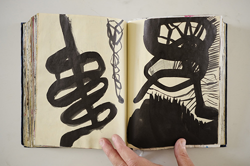carnets | carnet-2011 | &copy; patrice de Santa Coloma