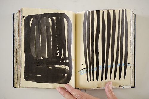carnets | carnet-2011 | &copy; patrice de Santa Coloma