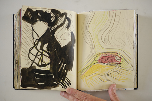 carnets | carnet-2011 | &copy; patrice de Santa Coloma