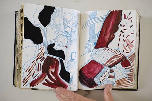 carnets | carnet-2011 | &copy; patrice de Santa Coloma