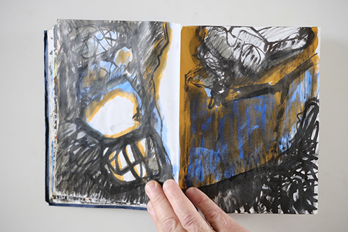 carnets | carnet-2011 | &copy; patrice de Santa Coloma