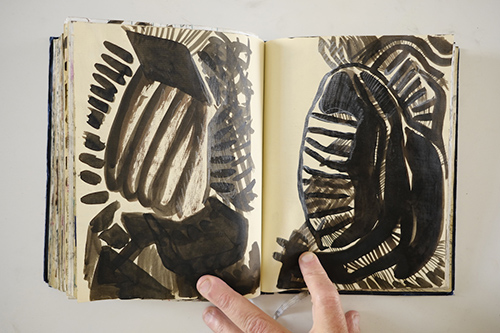 carnets | carnet-2011 | &copy; patrice de Santa Coloma