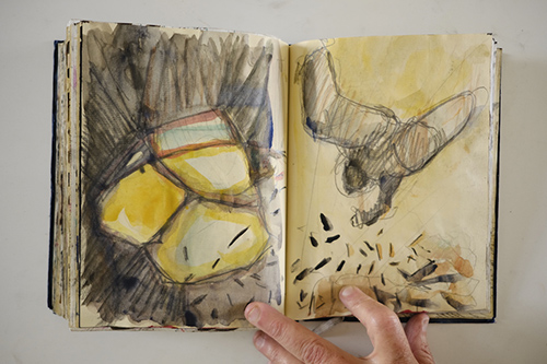 carnets | carnet-2011 | &copy; patrice de Santa Coloma