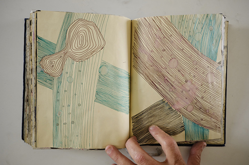 carnets | carnet-2011 | &copy; patrice de Santa Coloma