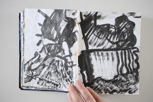 carnets | carnet-2011 | &copy; patrice de Santa Coloma