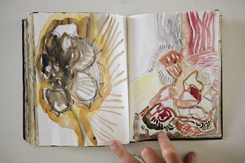 carnets | carnet-2011 | &copy; patrice de Santa Coloma