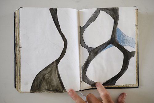 carnets | carnet-2011 | &copy; patrice de Santa Coloma
