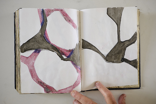 carnets | carnet-2011 | &copy; patrice de Santa Coloma