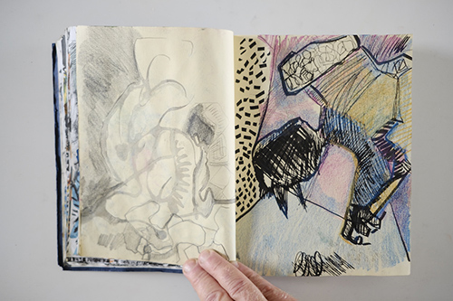 carnets | carnet-2011 | &copy; patrice de Santa Coloma