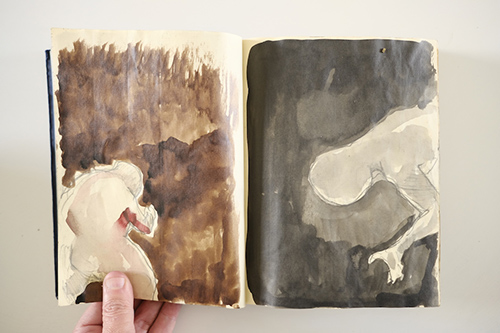 carnets | carnet-2011 | &copy; patrice de Santa Coloma