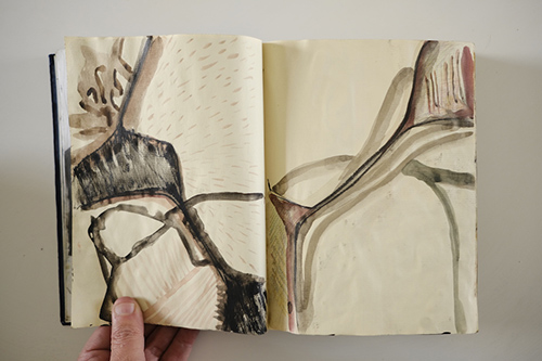 carnets | carnet-2011 | &copy; patrice de Santa Coloma