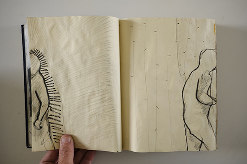 carnets | carnet-2011 | &copy; patrice de Santa Coloma