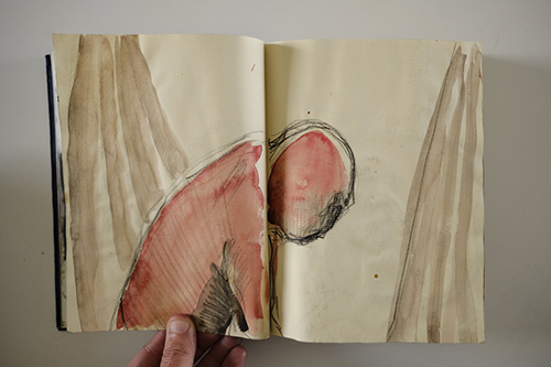 carnets | carnet-2011 | &copy; patrice de Santa Coloma