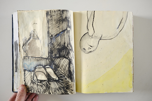 carnets | carnet-2011 | &copy; patrice de Santa Coloma