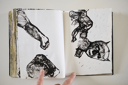 carnets | carnet-2011 | &copy; patrice de Santa Coloma