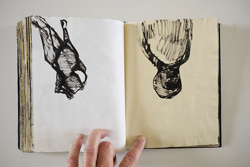 carnets | carnet-2011 | &copy; patrice de Santa Coloma
