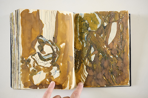 carnets | carnet-2011 | &copy; patrice de Santa Coloma