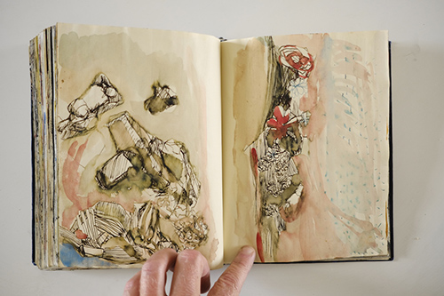 carnets | carnet-2011 | &copy; patrice de Santa Coloma