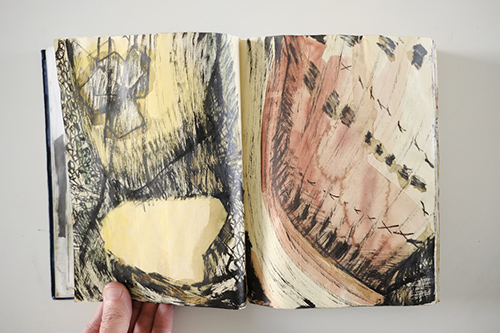 carnets | carnet-2011 | &copy; patrice de Santa Coloma