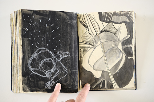 carnets | carnet-2011 | &copy; patrice de Santa Coloma