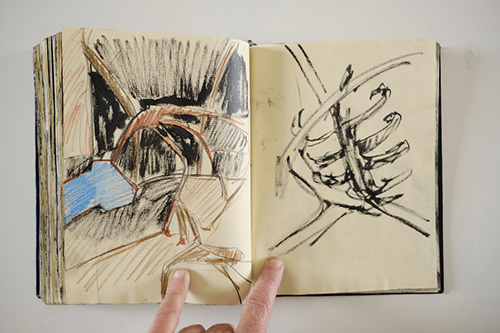 carnets | carnet-2011 | &copy; patrice de Santa Coloma