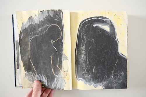 carnets | carnet-2011 | &copy; patrice de Santa Coloma