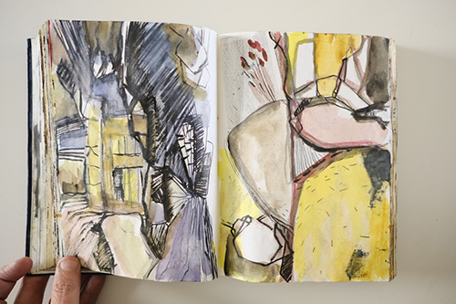 carnets | carnet-2011 | &copy; patrice de Santa Coloma
