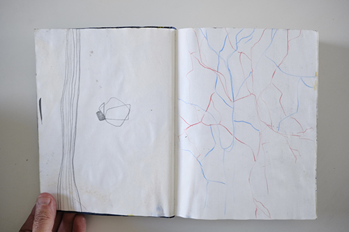carnets | carnet-2011 | &copy; patrice de Santa Coloma