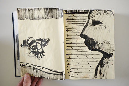 carnets | carnet-2011 | &copy; patrice de Santa Coloma