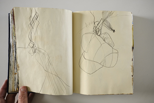 carnets | carnet-2011 | &copy; patrice de Santa Coloma