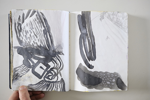 carnets | carnet-2011 | &copy; patrice de Santa Coloma