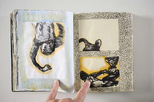 carnets | carnet-2011 | &copy; patrice de Santa Coloma