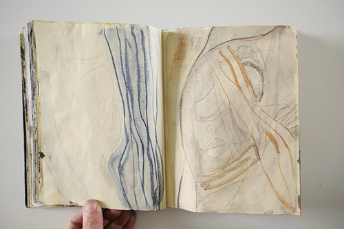 carnets | carnet-2011 | &copy; patrice de Santa Coloma