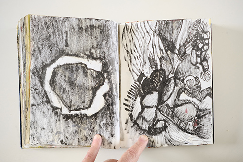 carnets | carnet-2011 | &copy; patrice de Santa Coloma
