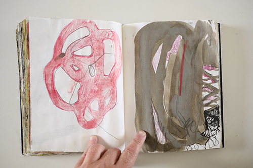 carnets | carnet-2011 | &copy; patrice de Santa Coloma