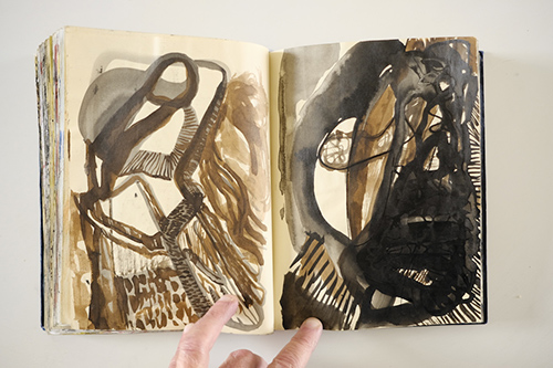 carnets | carnet-2011 | &copy; patrice de Santa Coloma