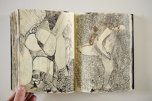 carnets | carnet-2011 | &copy; patrice de Santa Coloma