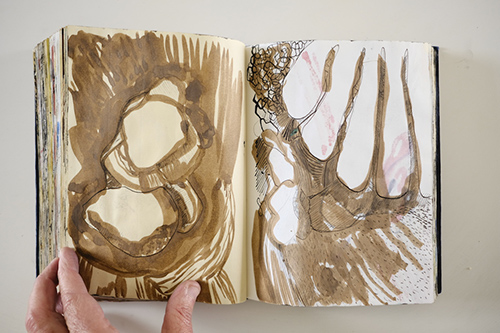 carnets | carnet-2011 | &copy; patrice de Santa Coloma
