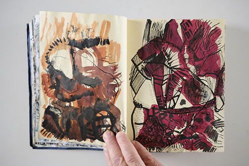 carnets | carnet-2011 | &copy; patrice de Santa Coloma
