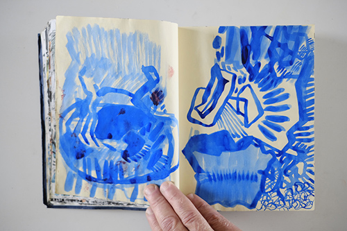 carnets | carnet-2011 | &copy; patrice de Santa Coloma