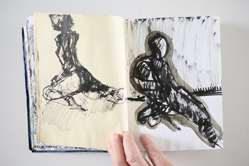 carnets | carnet-2011 | &copy; patrice de Santa Coloma